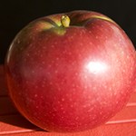 Heirloom