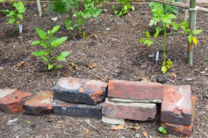 new life for old bricks